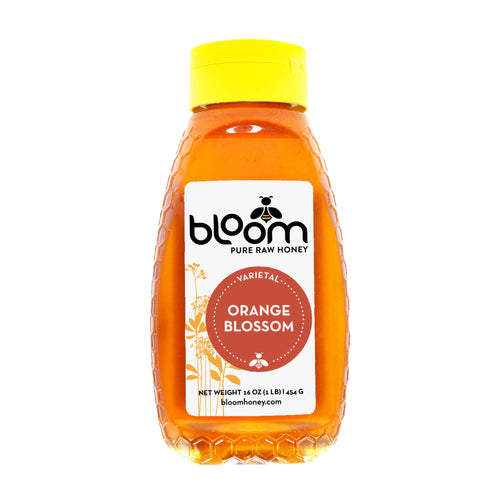 Orange Blossom Honey - Squeeze Bottle (16 oz)