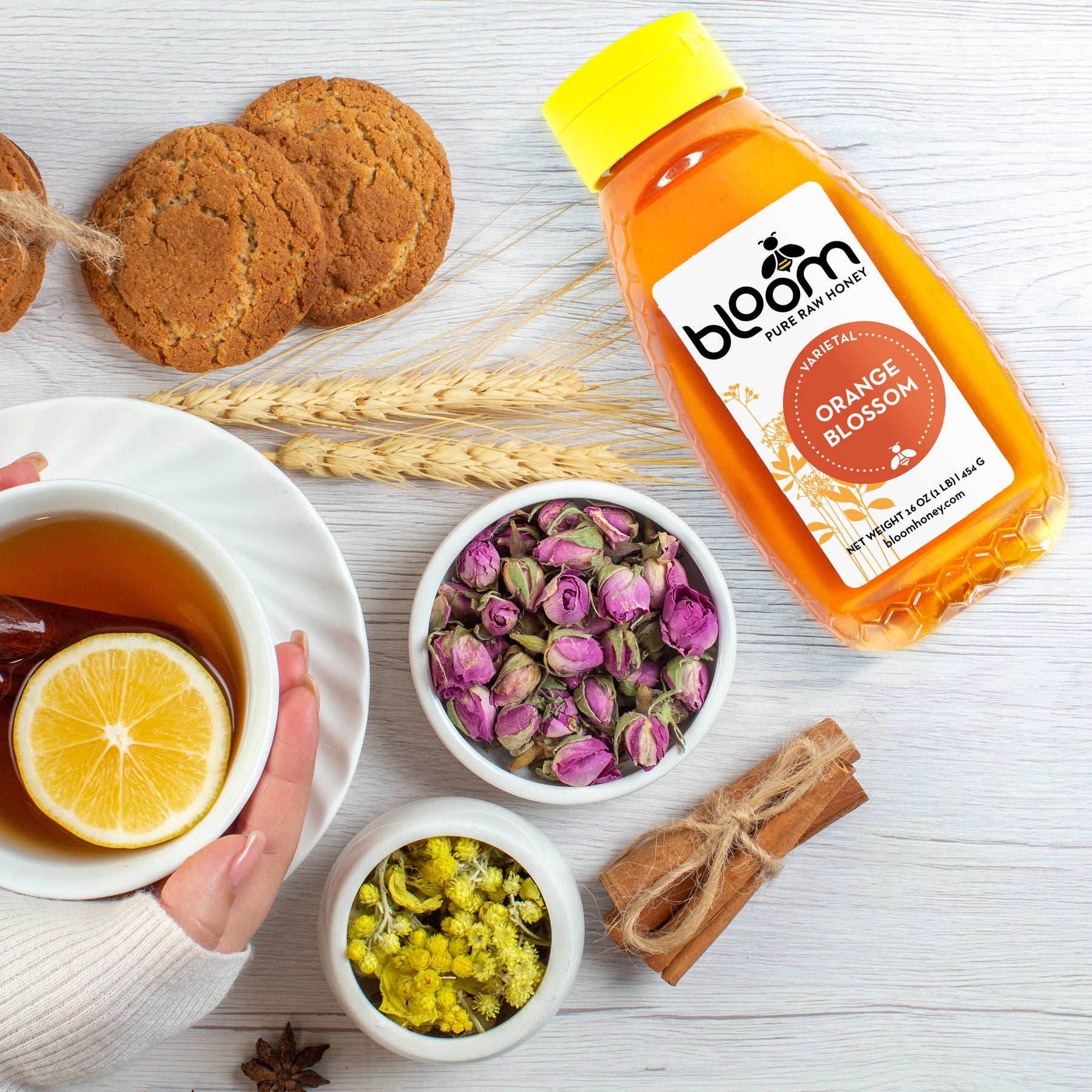 Orange Blossom Honey Squeeze Bottle (16 oz) – Bloom Honey