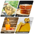 Anythingbees Organic Yellow Handmade Beeswax Brick - 1lb