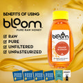 Orange Blossom Honey - Squeeze Bottle (16 oz)