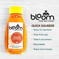 Orange Blossom Honey - Squeeze Bottle (16 oz)
